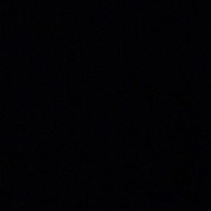 Meet your Posher, Riley